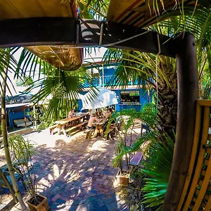 cool-bananas-backpackers.queenslandhotels.net/